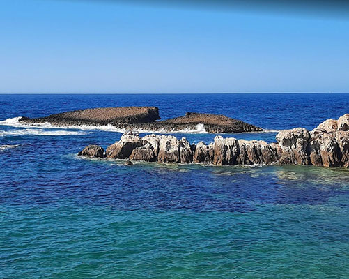 website design,klickhier,klick hier,web mit pep,webseiten,domain,ionos,hosting,server,baukasten,erstellung,betreuung,renovierung,cheap,billig,free,kostenlos,schnell,deutsch,hannover,deutschland,professionell,web designer,web visitenkarte,seo,suchmaschienenoptimierung,e-mail adresse